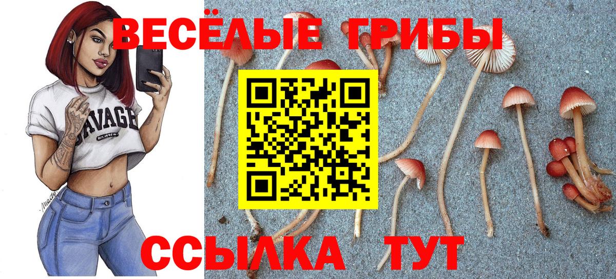Галлюциногенные грибы мухоморы Заводоуковск